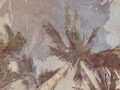 Image Not Available
